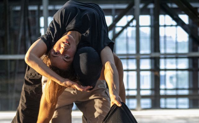 Person Longing For Human