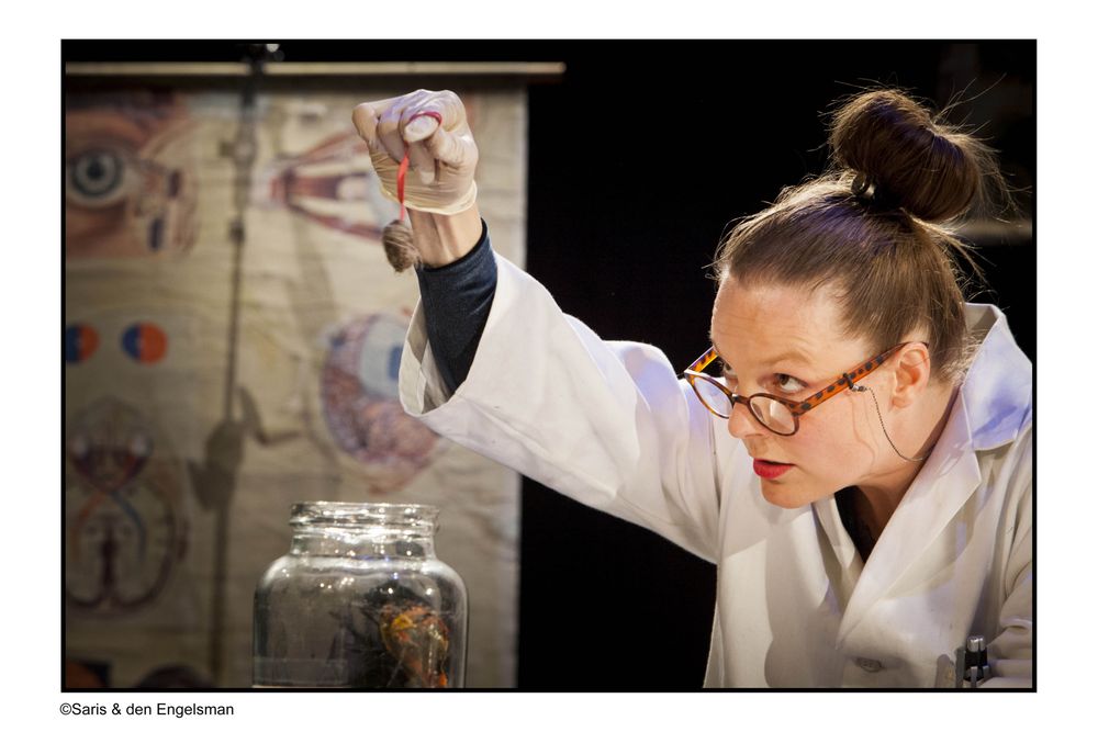 De Wraak van de Raaf, een funky fabel