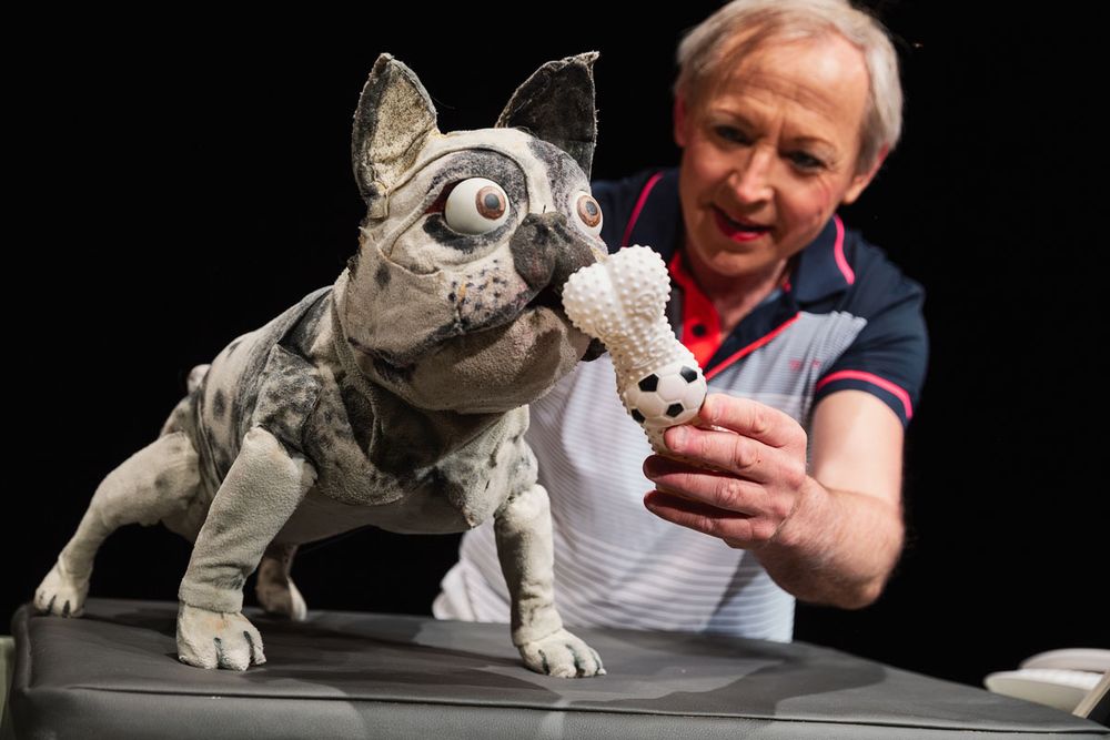 Foto © Bowie Verschuuren